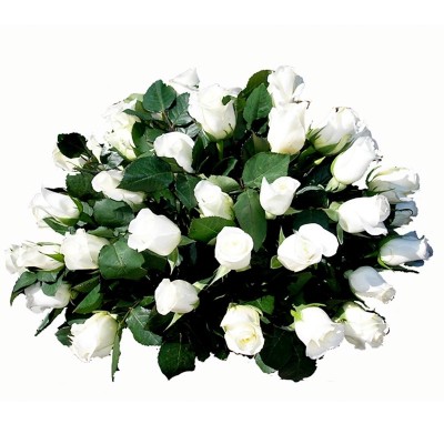 Flores Condolencias Rosas Blancas