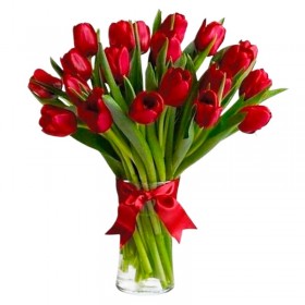 Florero de 20 Tulipanes Rojos