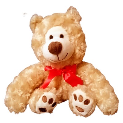 Peluche de Oso 20 Cms