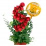 Cesta de Aniversario Rosas 25 Rosas Ascendentes y Globo